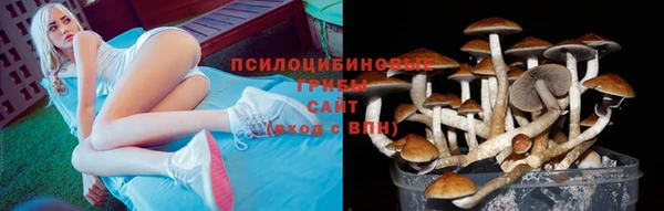 mdpv Бронницы