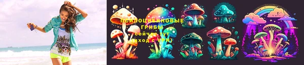 Альфа ПВП Богородицк